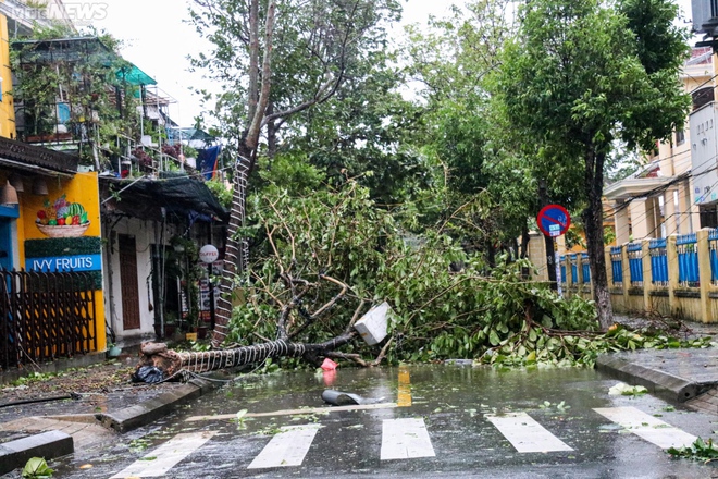 Hội An: Thành phố Hội An đẹp như mơ với những ngôi nhà cổ kính và những công trình kiến trúc độc đáo. Hãy tham gia vào một chuyến đi bộ đến phố cổ, ngắm nhìn các cửa hàng bày bán đèn lồng, quần áo, giày dép và nhiều vật phẩm thủ công độc đáo, mô hình sinh động của một thời đại đã qua.