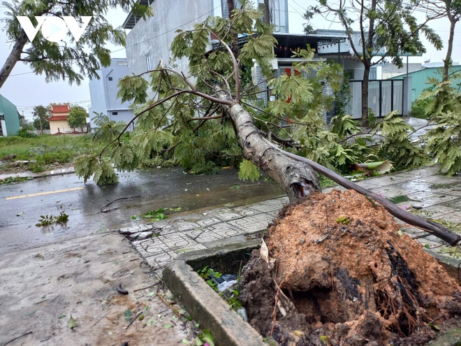 Chặt cây ngã đổ, kê dọn các khu vực có tôn rơi, dọn dẹp đường sá sau bão số 4 - Ảnh 53.