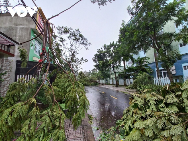 Chặt cây ngã đổ, kê dọn các khu vực có tôn rơi, dọn dẹp đường sá sau bão số 4 - Ảnh 52.