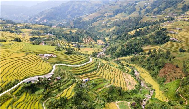 Hà Giang đẹp nao lòng mùa vàng trên những thửa ruộng bậc thang - Ảnh 3.