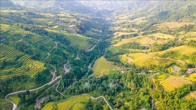 Hà Giang đẹp nao lòng mùa vàng trên những thửa ruộng bậc thang - Ảnh 2.