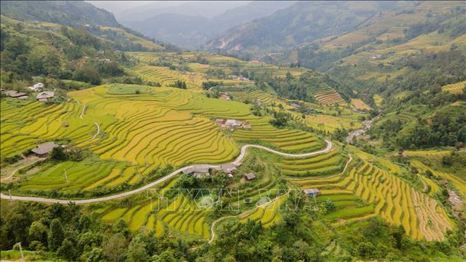 Hà Giang đẹp nao lòng mùa vàng trên những thửa ruộng bậc thang - Ảnh 1.