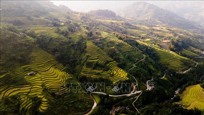 Hà Giang đẹp nao lòng mùa vàng trên những thửa ruộng bậc thang - Ảnh 6.