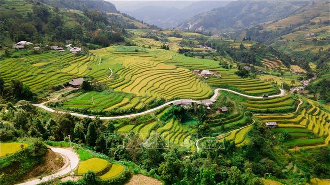 Hà Giang đẹp nao lòng mùa vàng trên những thửa ruộng bậc thang - Ảnh 5.