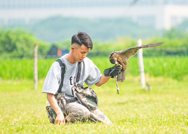 Ảnh, clip: Dùng flycam, định vị GPS để huấn luyện chim trinh sát trên không tại Hà Nội - Ảnh 4.
