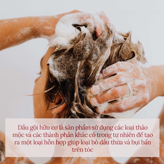 Dùng thử dòng dầu gội hữu cơ: Gội xong tóc rít nhưng bất ngờ nhất là sau khi sấy khô - Ảnh 3.
