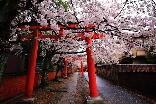 Kyoto rất mong đón du khách trở lại nhưng thủ thỉ những yêu cầu đặc biệt - Ảnh 2.