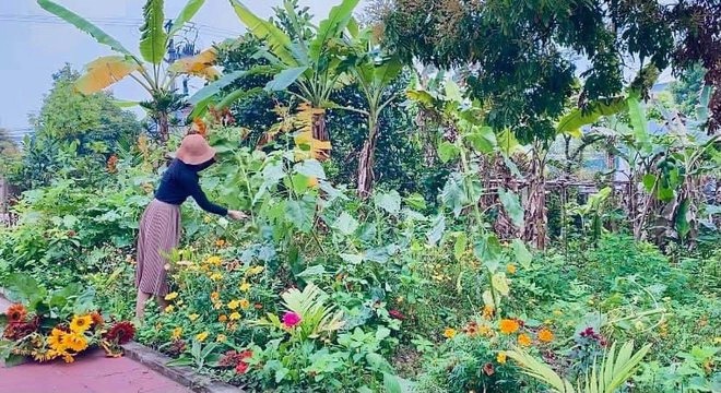 Lần đầu trồng rau nản muốn bỏ, vườn của bà mẹ Quảng Ninh hiện giờ khiến bao người mê - Ảnh 3.