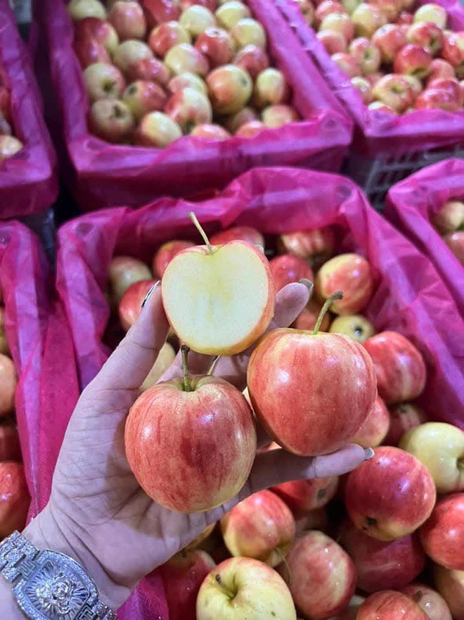 Bất ngờ với loại táo cherry được rao bán trên chợ mạng, giá rẻ chỉ 9 nghìn/kg - Ảnh 1.