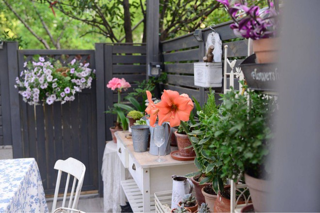 Khu vườn 45m&sup2; đậm chất điền vi&ecirc;n giữa l&ograve;ng th&agrave;nh phố, tha hồ trồng hoa nu&ocirc;i c&aacute; - Ảnh 16.