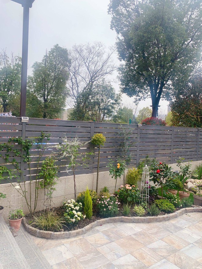 Khu vườn 45m&sup2; đậm chất điền vi&ecirc;n giữa l&ograve;ng th&agrave;nh phố, tha hồ trồng hoa nu&ocirc;i c&aacute; - Ảnh 4.