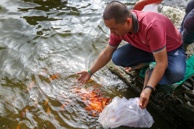 Người dân TP.HCM chi hàng triệu đồng mua cá chép phóng sinh tiễn ông Táo - Ảnh 5.