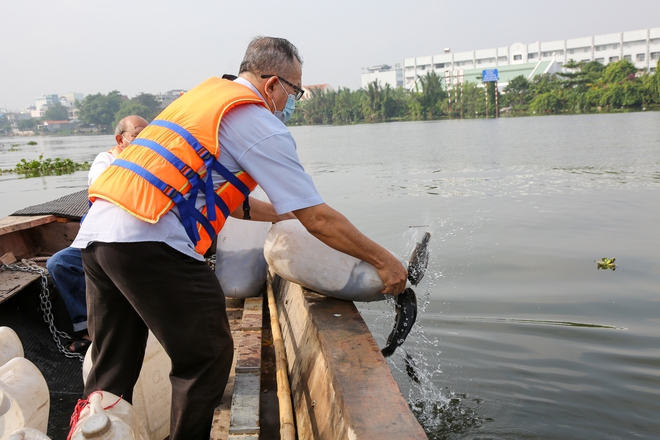 Người dân TP.HCM chi hàng triệu đồng mua cá chép phóng sinh tiễn ông Táo - Ảnh 16.