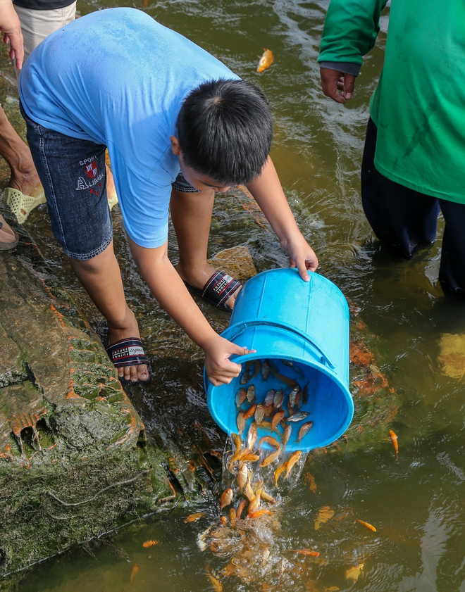 Người dân TP.HCM chi hàng triệu đồng mua cá chép phóng sinh tiễn ông Táo - Ảnh 11.