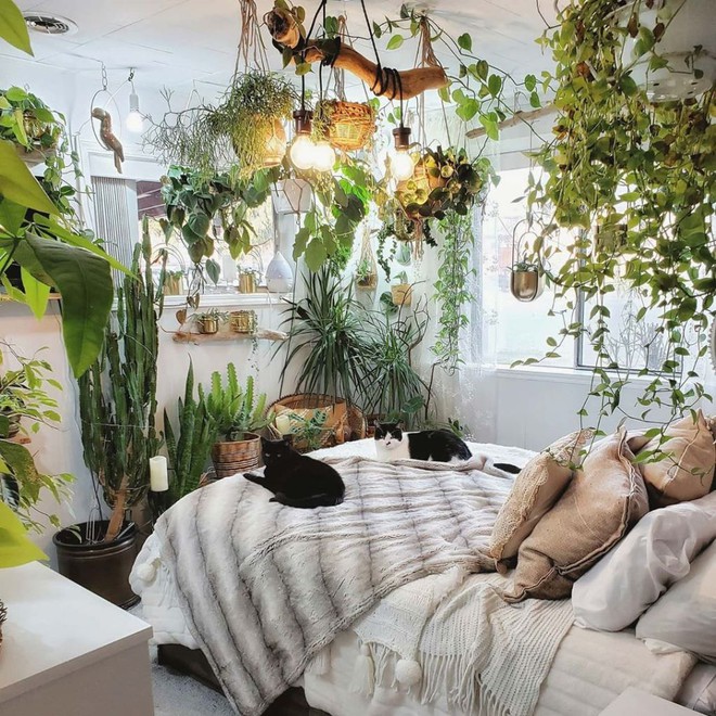 Mất ngủ triền mi&ecirc;n: 3 lỗi phong thủy cực hung trong nh&agrave; cần phải để &yacute;, cải thiện ngay kẻo sức khỏe xuống dốc kh&ocirc;ng phanh - Ảnh 3.