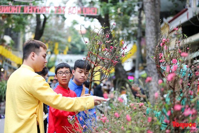 Du khách nước ngoài thích thú với chợ hoa Hàng Lược - Ảnh 12.
