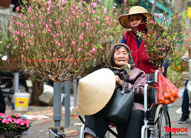 Du khách nước ngoài thích thú với chợ hoa Hàng Lược - Ảnh 10. Du khách nước ngoài thích thú với chợ hoa Hàng Lược - Ảnh 10.