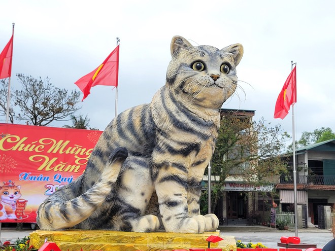 Đi hơn 10 km để chụp ảnh check in bên hoa hậu mèo Quảng Trị gây sốt mạng xã hội - Ảnh 3.