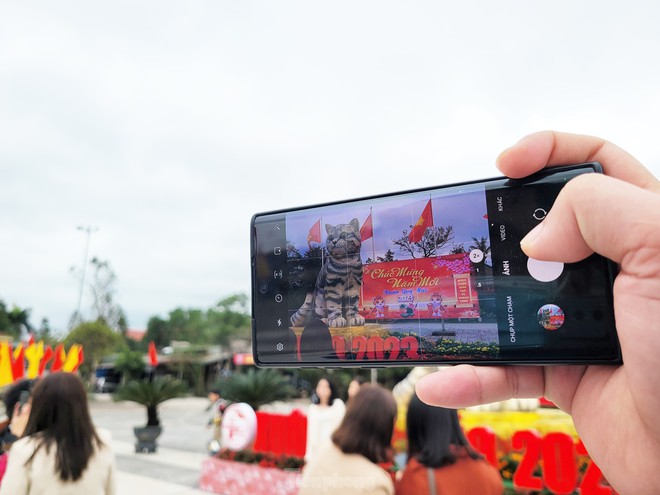 Đi hơn 10 km để chụp ảnh check in bên hoa hậu mèo Quảng Trị gây sốt mạng xã hội - Ảnh 11.