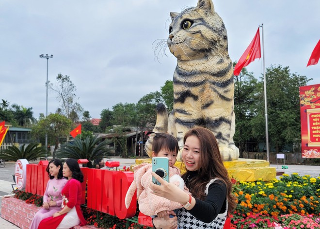 Đi hơn 10 km để chụp ảnh check in bên hoa hậu mèo Quảng Trị gây sốt mạng xã hội - Ảnh 10.