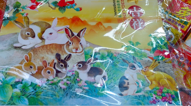 Người Hoa ở TP.HCM đón Tết con thỏ - Ảnh 5.