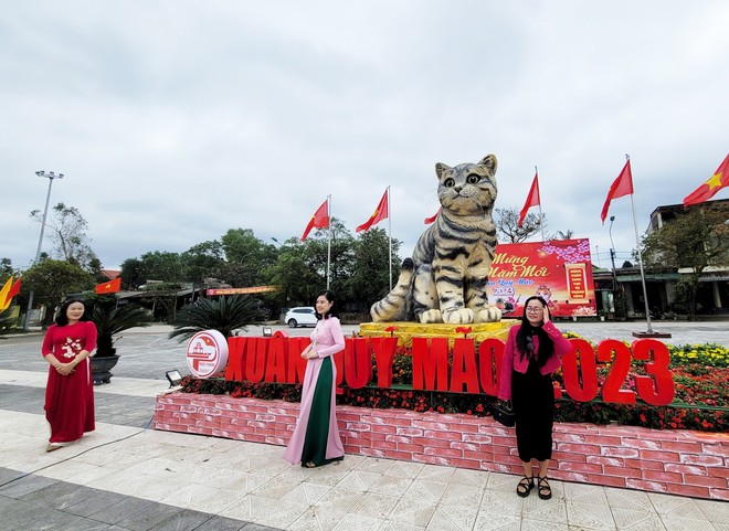 Đi hơn 10 km để chụp ảnh check in bên hoa hậu mèo Quảng Trị gây sốt mạng xã hội - Ảnh 6.