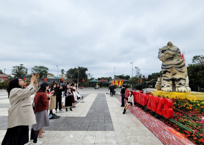 Đi hơn 10 km để chụp ảnh check in bên hoa hậu mèo Quảng Trị gây sốt mạng xã hội - Ảnh 5.