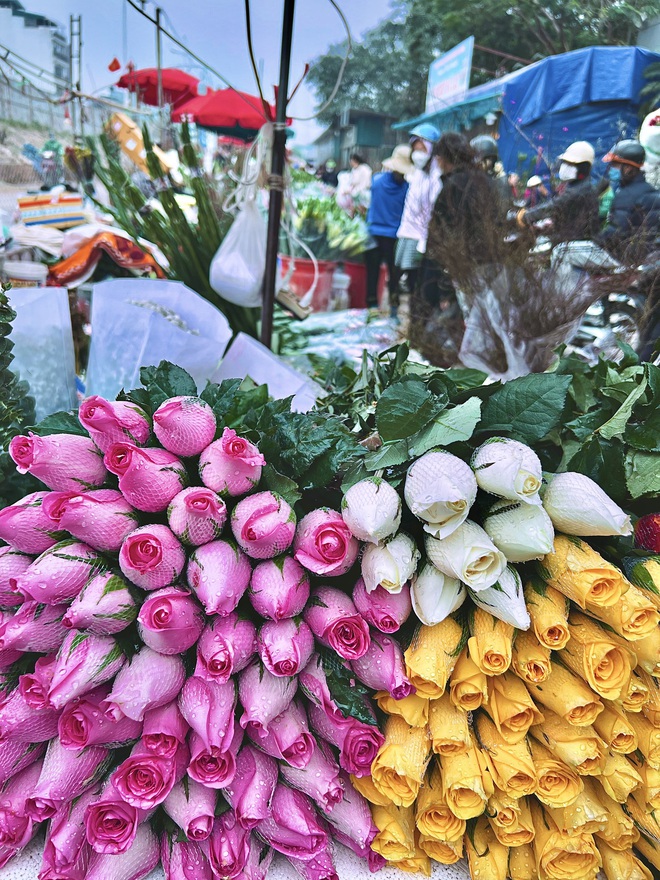 Cập nhật gi&aacute; cả ở chợ hoa Tết lớn nhất H&agrave; Nội - Ảnh 31.