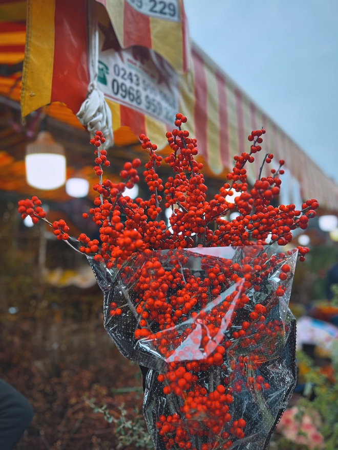 Cập nhật gi&aacute; cả ở chợ hoa Tết lớn nhất H&agrave; Nội - Ảnh 28.