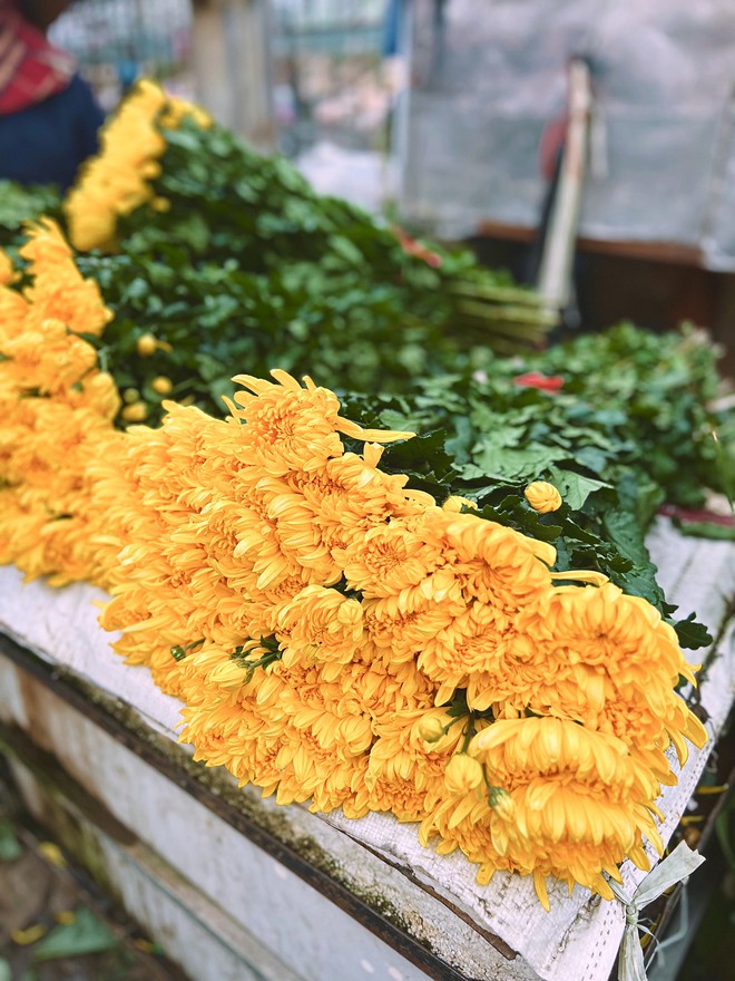 Cập nhật gi&aacute; cả ở chợ hoa Tết lớn nhất H&agrave; Nội - Ảnh 21.
