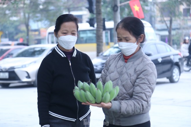 400.000 đồng/nải chuối xanh Tết, tiểu thương đếm quả lấy tiền - Ảnh 8.