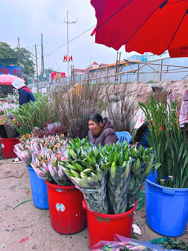 Cập nhật gi&aacute; cả ở chợ hoa Tết lớn nhất H&agrave; Nội - Ảnh 12.