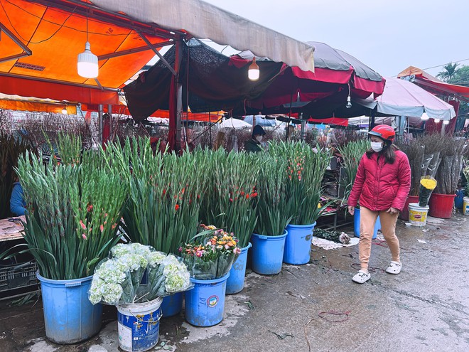 Cập nhật gi&aacute; cả ở chợ hoa Tết lớn nhất H&agrave; Nội - Ảnh 5.