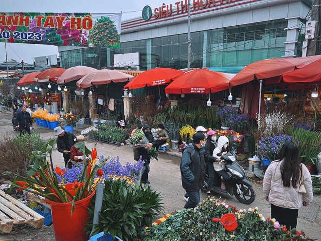 Cập nhật gi&aacute; cả ở chợ hoa Tết lớn nhất H&agrave; Nội - Ảnh 1.