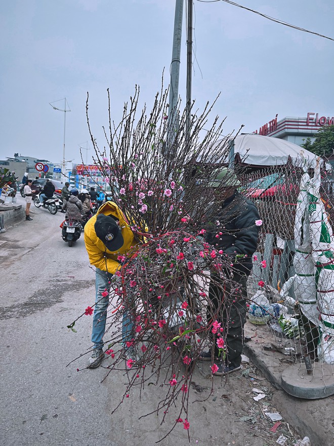 Cập nhật gi&aacute; cả ở chợ hoa Tết lớn nhất H&agrave; Nội - Ảnh 36.