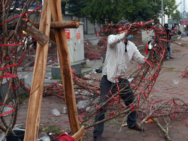 Tiểu thương bẻ đào, vặt nụ sau khi bị ép giá chiều 30 Tết - Ảnh 2.