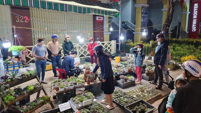 Đ&agrave; Nẵng: Hoa sale sập s&agrave;n vẫn kh&ocirc;ng ai mua - Ảnh 6.
