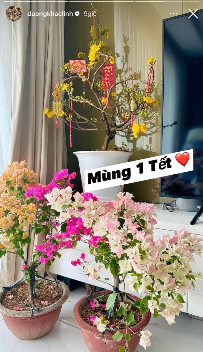 Hoa Tết nhà sao Việt: Nhà bung nở rực rỡ, nhà chưa có dấu hiệu ra hoa - Ảnh 4.