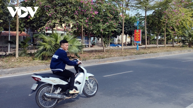 Ngày Tết, nhan nhản tình trạng không đội mũ bảo hiểm khi tham gia giao thông - Ảnh 5.