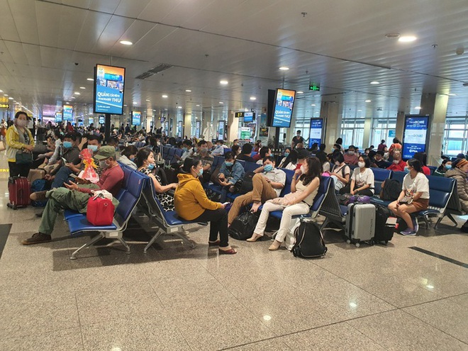 Nhiều gia đ&igrave;nh tự l&aacute;i &ocirc; t&ocirc; về qu&ecirc; v&igrave; v&eacute; m&aacute;y bay Tết khan hiếm - Ảnh 1.