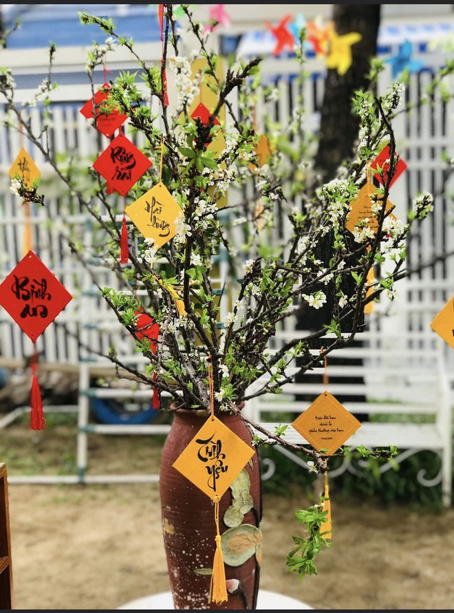 Nh&agrave; ngập sắc xu&acirc;n đ&oacute;n năm mới với ng&acirc;n s&aacute;ch chỉ từ 50 ngh&igrave;n đồng - Ảnh 3.