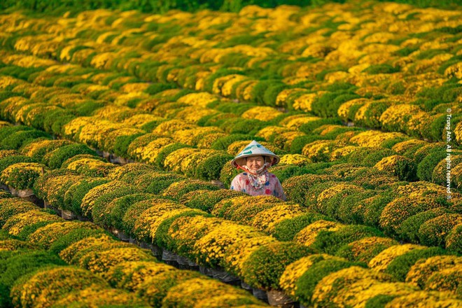 Những địa điểm đẹp ở Việt Nam khiến dân tình hối hả &quot;lên đồ&quot; chụp hình đón xuân - Ảnh 1.