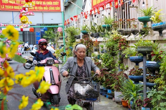 Ảnh: Người dân TP.HCM chung tay trang trí Tết trong những con hẻm nhỏ nơi mình sinh sống - Ảnh 15.