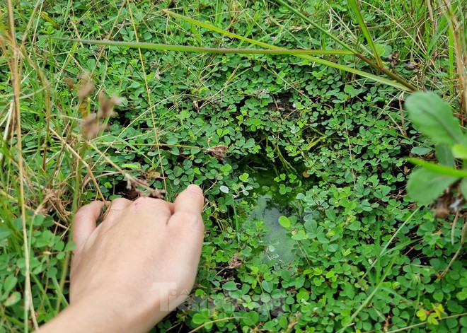 Chi ch&iacute;t hố trụ b&ecirc; t&ocirc;ng giăng bẫy tr&ecirc;n b&atilde;i đất trống ở Đ&agrave; Nẵng - Ảnh 6.