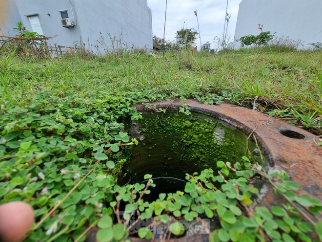 Chi ch&iacute;t hố trụ b&ecirc; t&ocirc;ng giăng bẫy tr&ecirc;n b&atilde;i đất trống ở Đ&agrave; Nẵng - Ảnh 5.