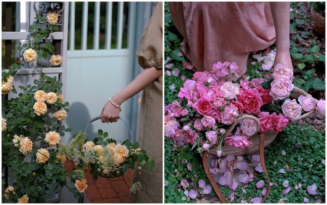 L&agrave;m vườn kiểu Ph&aacute;p để sống như trong cổ t&iacute;ch được h&agrave;ng chục ngh&igrave;n người h&acirc;m mộ - Ảnh 8.