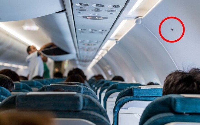 Những chi tiết bí ẩn quan trọng trên máy bay mà hành khách ít để ý - Ảnh 2.