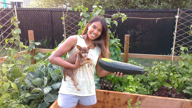 Khu vườn xanh mướt của c&ocirc; g&aacute;i trồng c&acirc;y g&igrave; cũng tốt tươi - Ảnh 1.