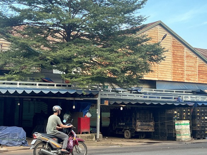 Vụ c&ocirc; g&aacute;i bị s&aacute;t hại ở chợ đầu mối Thủ Đức: Khởi tố chồng nữ hung thủ - Ảnh 4.