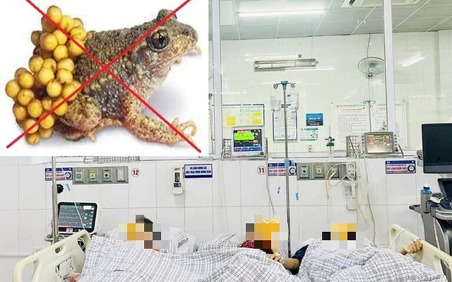 Cảnh b&aacute;o: 3 mẹ con nhập viện v&igrave; ăn thịt, trứng c&oacute;c - Ảnh 1.